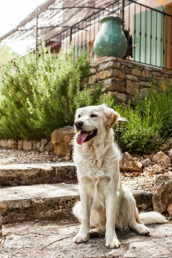 バルジュモン Mas La Jaina Bed & Breakfast エクステリア 写真